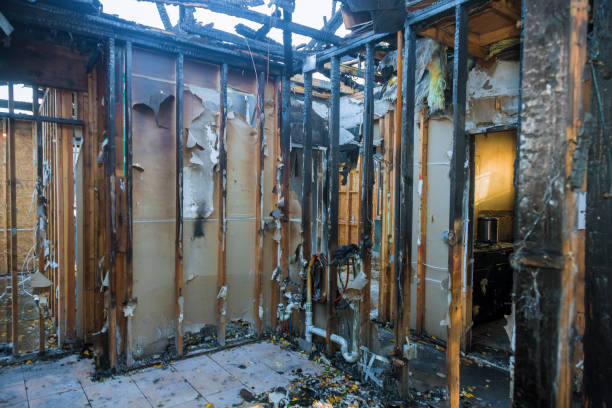 Professional Fire Damage Removal technician working in Bellevue, OH